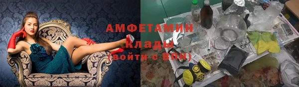 стафф Аркадак