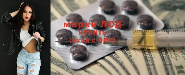 стафф Аркадак