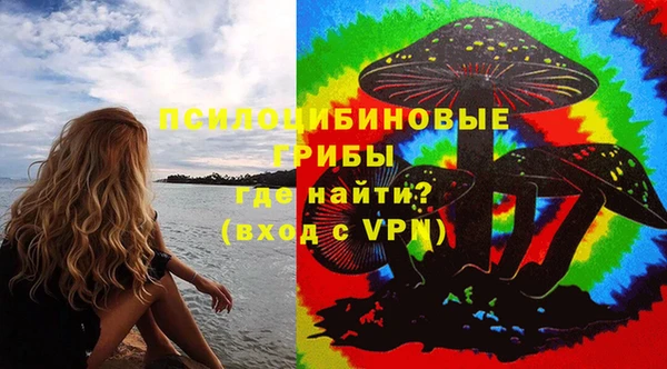 мет Арсеньев