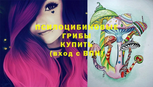 стафф Аркадак