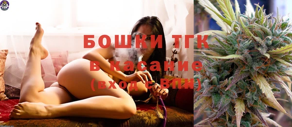 стафф Аркадак
