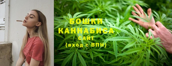 мет Арсеньев