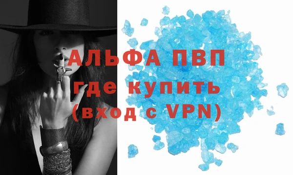 стафф Аркадак